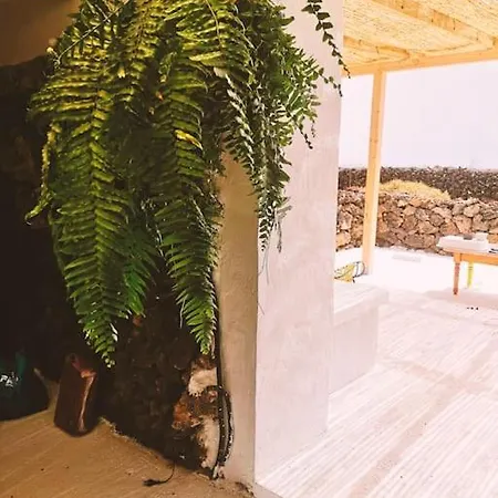 Estudio Con Bano Privado Appartement *